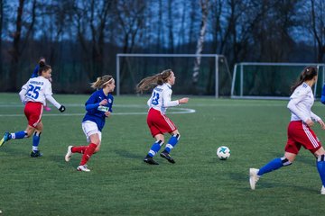 Bild 195 - wBJ Hamburger SV - Holstein Kiel : Ergebnis: 3:2
